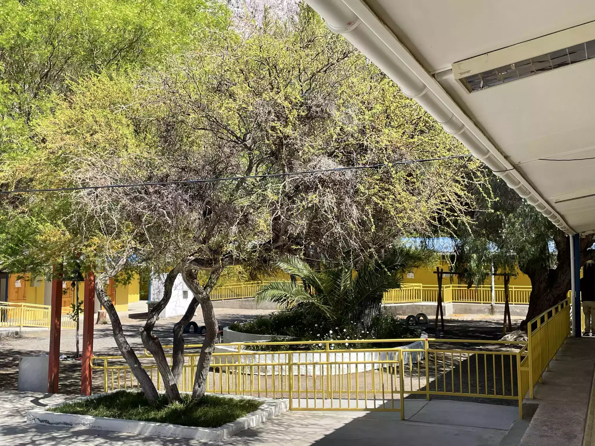 Imagen de la sección